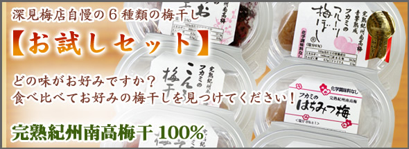 梅干しお試しセット　送料無料